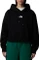 The North Face Essential Crop Hoodie (Damen) Vorschaubild