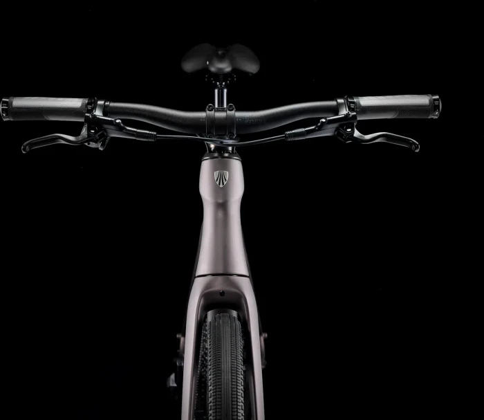 Trek FX Sport 6 matte bronze age/deep smoke Modell 2025