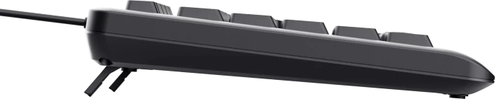 Trust Primo Illuminated Keyboard, LEDs weiß, USB, US
