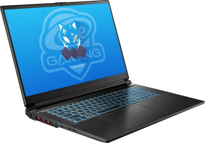ONE GAMING Commander V73-13NB-RN10, Core i9-13900H, 16GB RAM, 1TB SSD, GeForce RTX 4050, DE