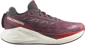 Salomon Aero Glide 4 huckleberry/vanilla ice/lava falls (Damen)