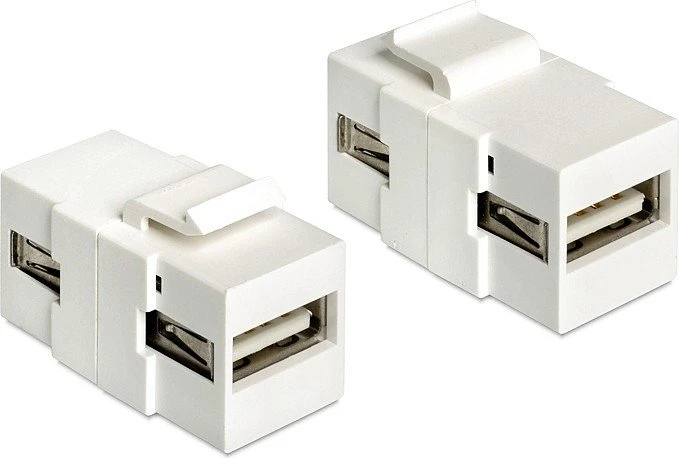 DeLOCK Keystone Modul USB-A 2.0 Buchse via USB-A 2.0 Buchse, weiß