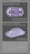 SteelSeries Rival 3 Wireless Gen 2, violett, USB/Bluetooth Vorschaubild