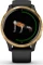 Garmin Venu schwarz/gold Vorschaubild