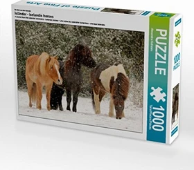 Calvendo Ein Motiv aus dem Kalender Isländer - icelandic horses
