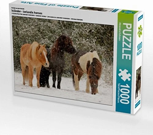 Calvendo Ein Motiv aus dem Kalender Isländer - icelandic horses