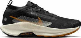 Nike Pegasus Trail 5 Gore-Tex off-noir/black/monarch/pale ivory (Herren)