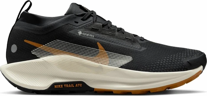 Nike Pegasus Trail 5 Gore-Tex (Herren)