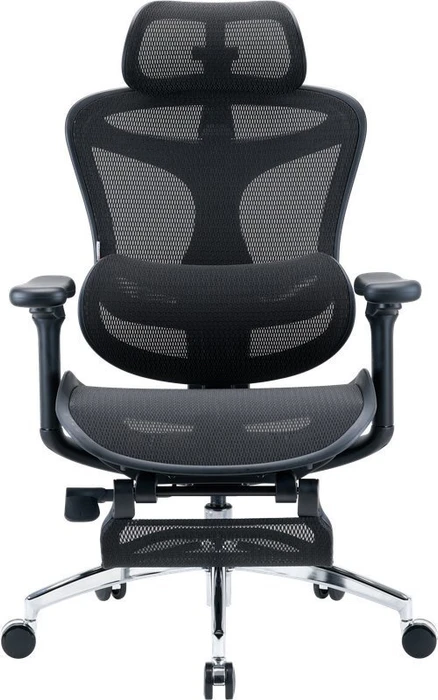 Sihoo Doro C300