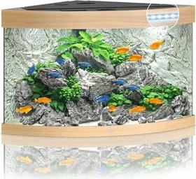 Juwel Trigon 190 LED Aquarium-Set, helles Holz, 190l
