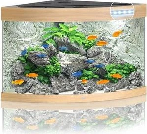 Juwel Trigon 190 LED Aquarium-Set, helles Holz, 190l