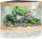 Juwel SB Trigon 190 LED Aquarium Vorschaubild