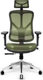 Diablo Chairs V-Basic Ergonomischer Bürostuhl, schwarz/grün