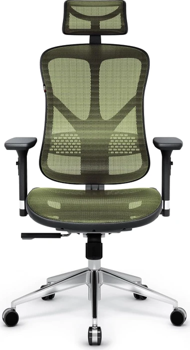 Diablo Chairs V-Basic Ergonomischer Bürostuhl, schwarz/grün