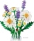 LEGO Botanicals - Gänseblümchen Vorschaubild