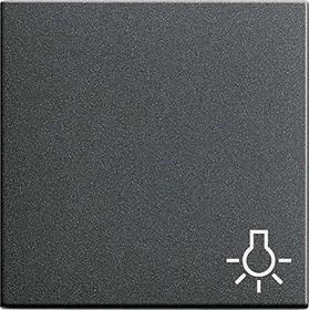 Gira Wippe mit Symbol Licht, anthrazit