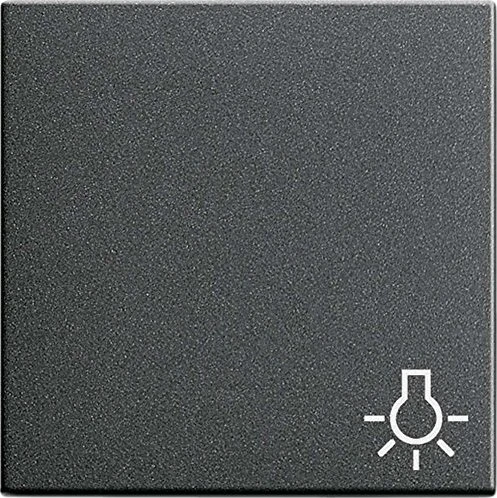 Gira Wippe mit Symbol Licht, anthrazit