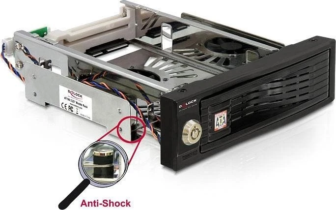 DeLOCK 5.25" Wechselrahmen auf 3.5" SATA