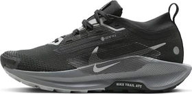 Nike Pegasus black/cool grey/anthracite/wolf grey (Damen)