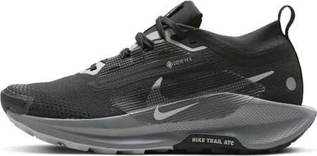 Nike Pegasus black/cool grey/anthracite/wolf grey (Damen)