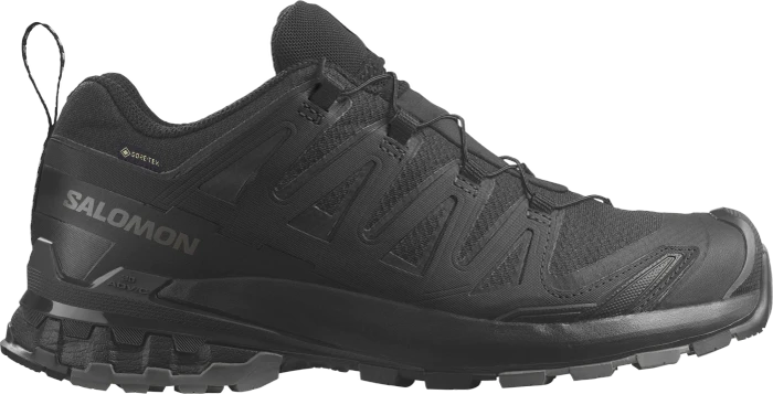 Salomon XA Pro 3D V9 GTX grisaille/tradewinds/spellbound (Damen)