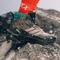 adidas Terrex Skychaser AX5 Mid Gore-Tex Climawarm+ earth strata/trace brown/pure teal (Damen) Vorschaubild