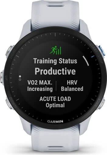 Garmin Forerunner 955 whitestone