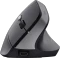 Trust Yuno Ergonomic Wireless Mouse schwarz, USB Vorschaubild