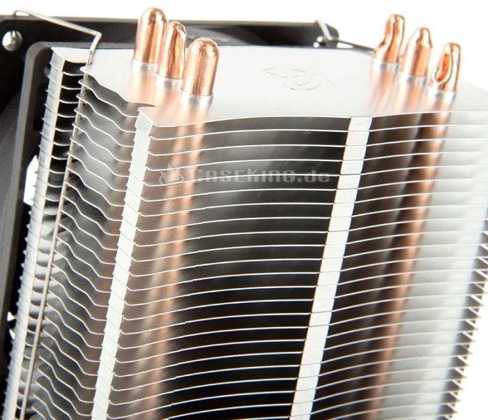 Raijintek Rhea
