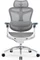 Sihoo Doro C300 Pro Ergonomischer Bürostuhl, weiß Vorschaubild