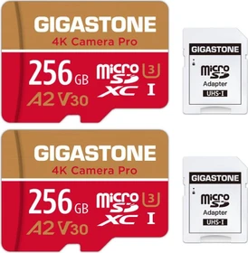 Gigastone 4K Camera Pro R100/W60 256GB Kit, UHS-I U3, A2, Class 10, 2er-Pack