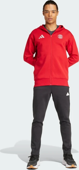 adidas FC Bayern München Anthem Hoodie team power red 2 (Herren)