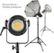 Walimex Pro LED Niova 500 Plus Daylight Vorschaubild
