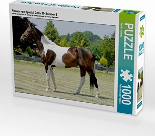Calvendo Piranja von Spezial Color R- Samber B