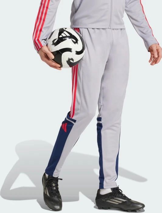 adidas Squadra 25 Trainingshose lang glory grey/team navy blue 2/pure ruby (Herren)