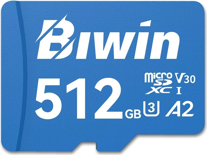 Biwin MS210 Series