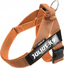 Julius K9 IDC Color & Gray Beltgeschirr M, orange