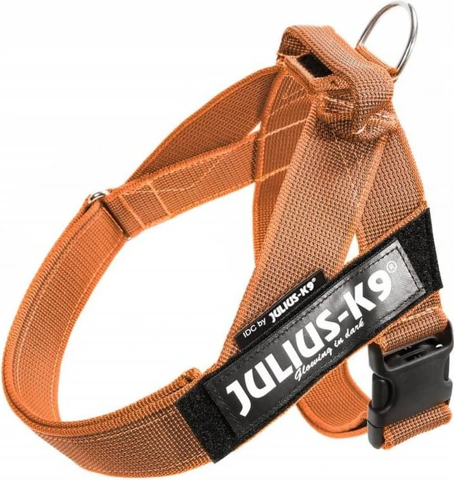 Julius K9 IDC Color & Gray Beltgeschirr M, orange