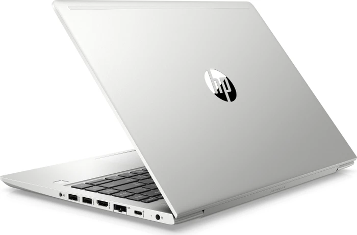 HP ProBook 445 G7, Pike Silver, Ryzen 5 4500U, 8GB RAM, 256GB SSD, DE