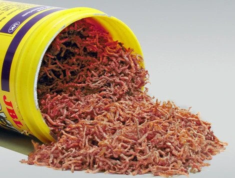 JBL NovoFil Rote Mückenlarven, 8g, 100ml
