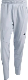 adidas DT4 Workout Trainingshose lang halo silver (Herren)