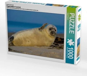 Calvendo Ein Motiv aus dem Kalender Kegelrobben hautnah