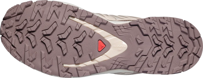 Salomon XA Pro 3D V9 Lifelong tapioca/iron (Damen)