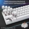 Dierya DK61SE, 60%, weiß, LEDs blau, BROWN Switches, USB, US Vorschaubild