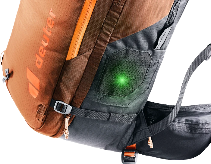 Deuter Alproof 32 chestnut/black