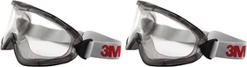 3M GoggleGear 2890 Schutzbrille grau