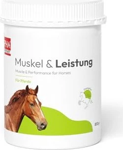 PHA PetVet Muskel & Leistung Pulver für Pferde, 850g