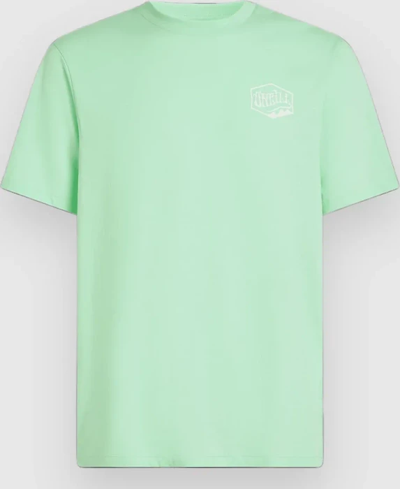 O'Neill Box Logo T-Shirt kurzarm mildrew mint (Herren)