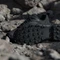adidas Terrex Eastrail 3 core black/carbon/grey four (Herren) Vorschaubild