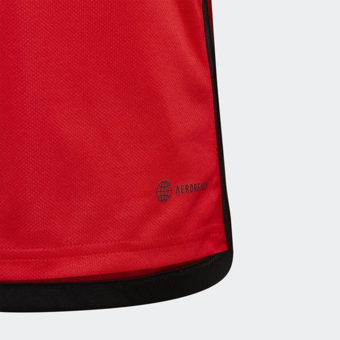 adidas FIFA WM 2022 Belgien Mini Heimausrüstung (Junior)